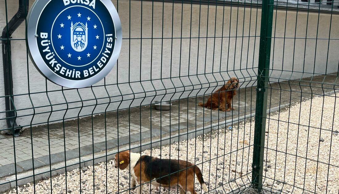 Bursa Büyükşehir’den kente Sokak Hayvanları Rehabilitasyon Merkezi