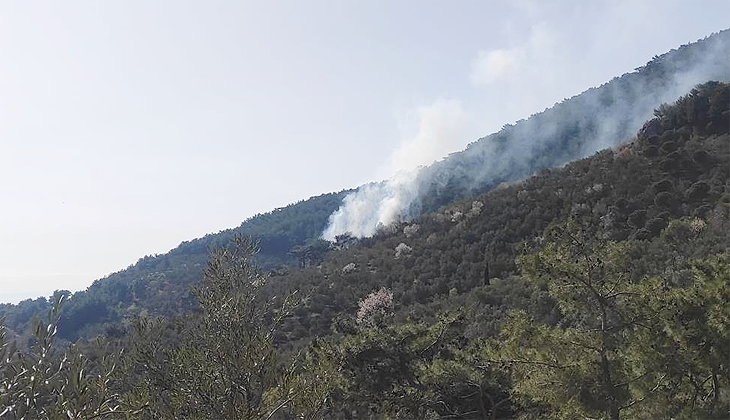 Kazdağları’nda orman yangını