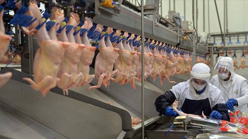 5 ayda yüzde 200 zamlandı! Beyaz ete ihracat yasağı geliyor
