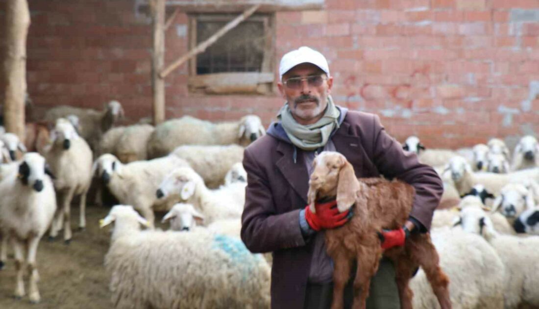 Kendisine oy vermeyen baldızı ve bacanağına şiir yazmıştı, film teklifi aldı