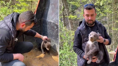 Bursa’da şehre inen yavru ayı maskot oldu