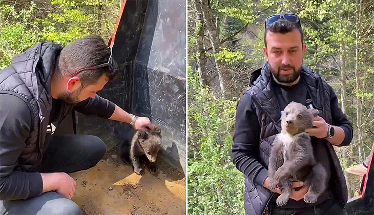 Bursa’da şehre inen yavru ayı maskot oldu