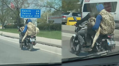 Bursa trafiğinde ilginç görüntüler: Motosiklette köpekle yolculuk yaptılar
