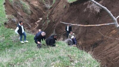 Güroymak’ta toprak kayması: Hayvanlar vadiye düştü