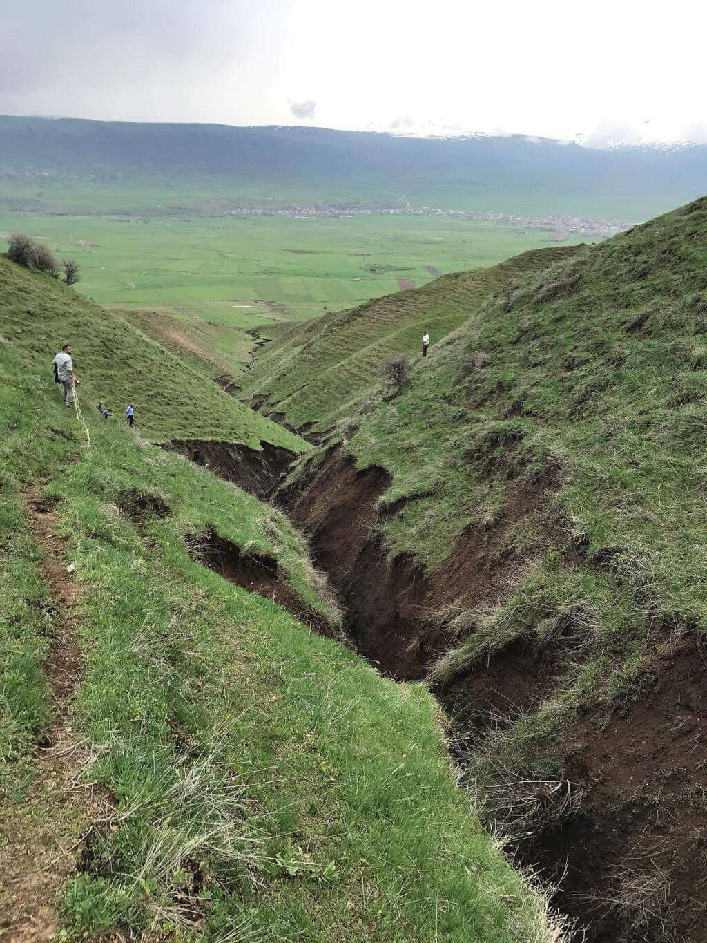 Güroymak’ta toprak kayması: Hayvanlar vadiye düştü