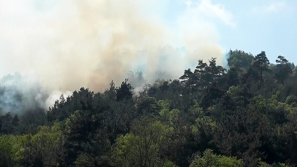 Bursa’da ormanlık alanda yangın