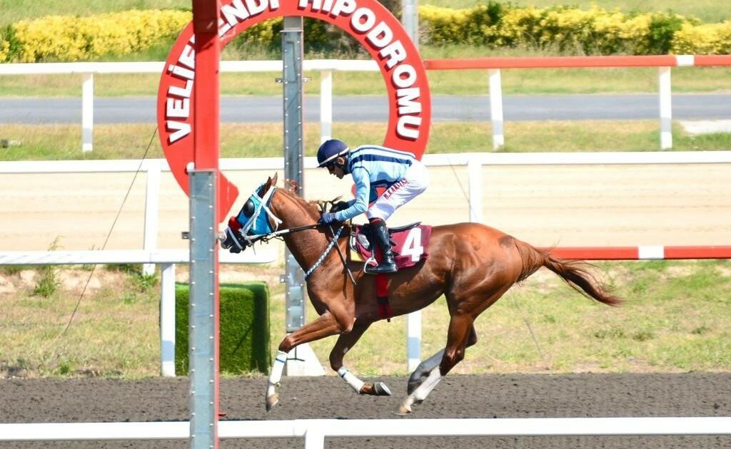 Veliefendi Hipodromu’nda yarış şöleni başlıyor