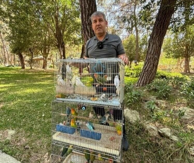 Kaçak papağanlar ele geçirildi