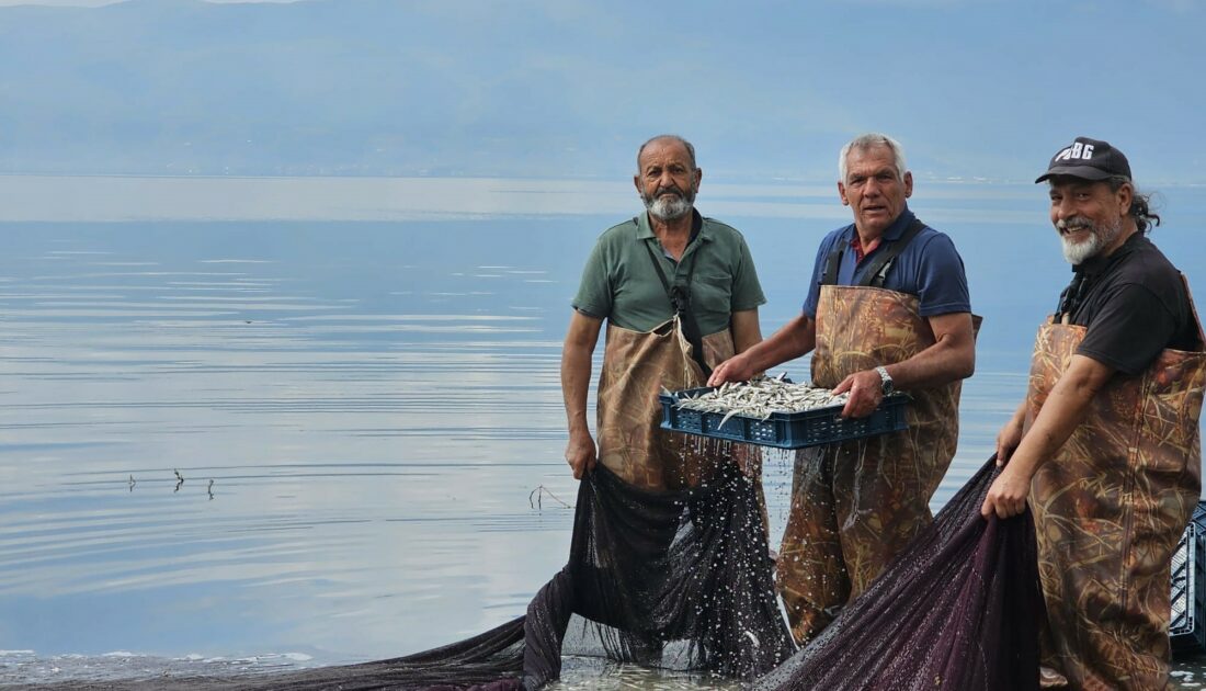 Bursa’da gümüş balığının ihracat serüveni başladı