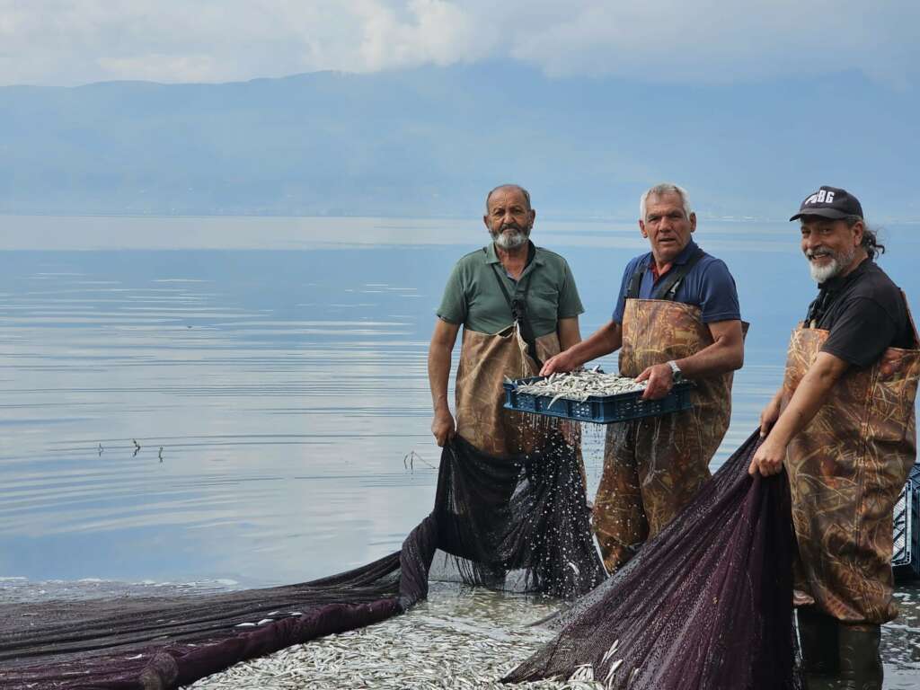 Bursa’da gümüş balığının ihracat serüveni başladı