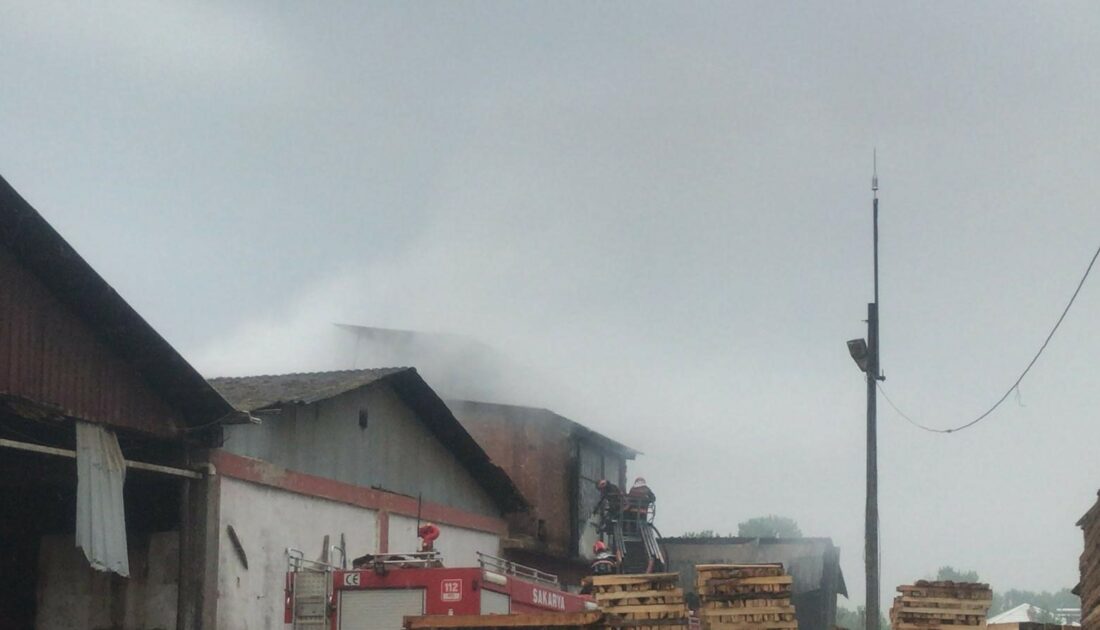 Orman ürünleri fabrikasında korkutan yangın Orman ürünleri fabrikasında korkutan yangın