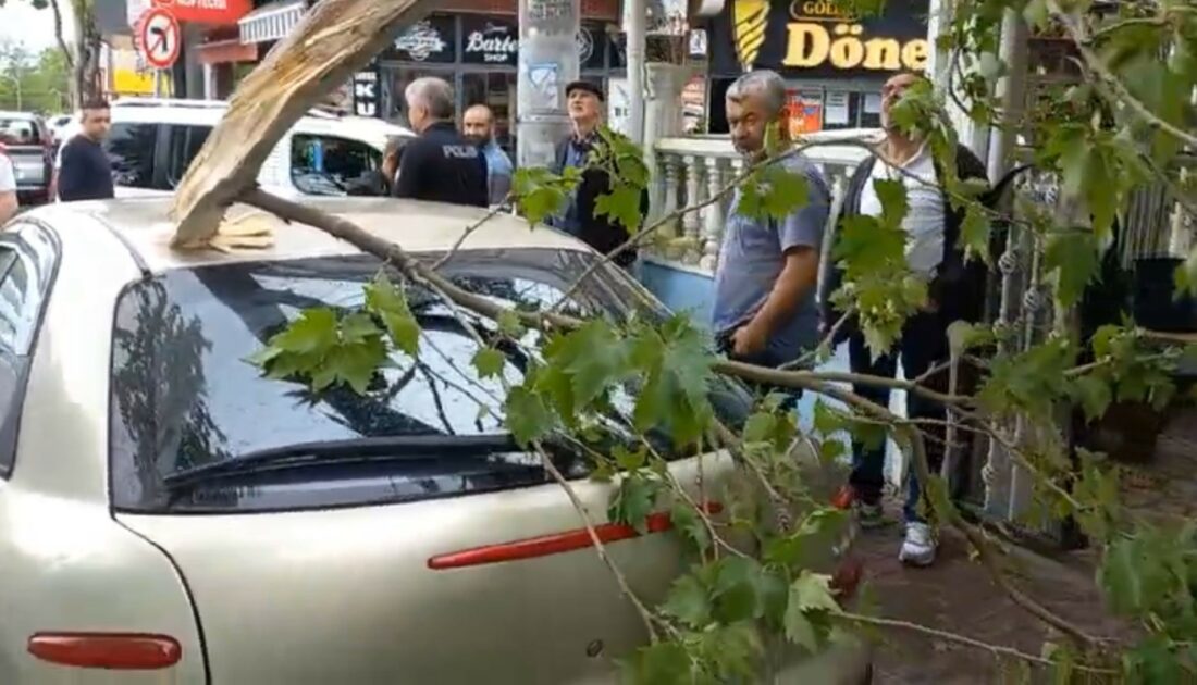 Bursa’da ağaç şiddetli rüzgara dayanamadı…Otomobilin üzerine düştü