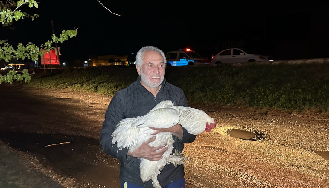 Depo alev alev yandı: Yangından kurtardığı tavuğuna böyle sarıldı