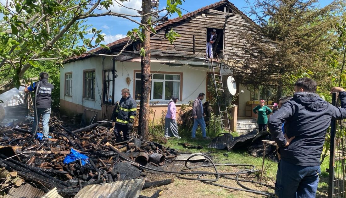 Düzce’de odunluk küle döndü Düzce’de odunluk küle döndü