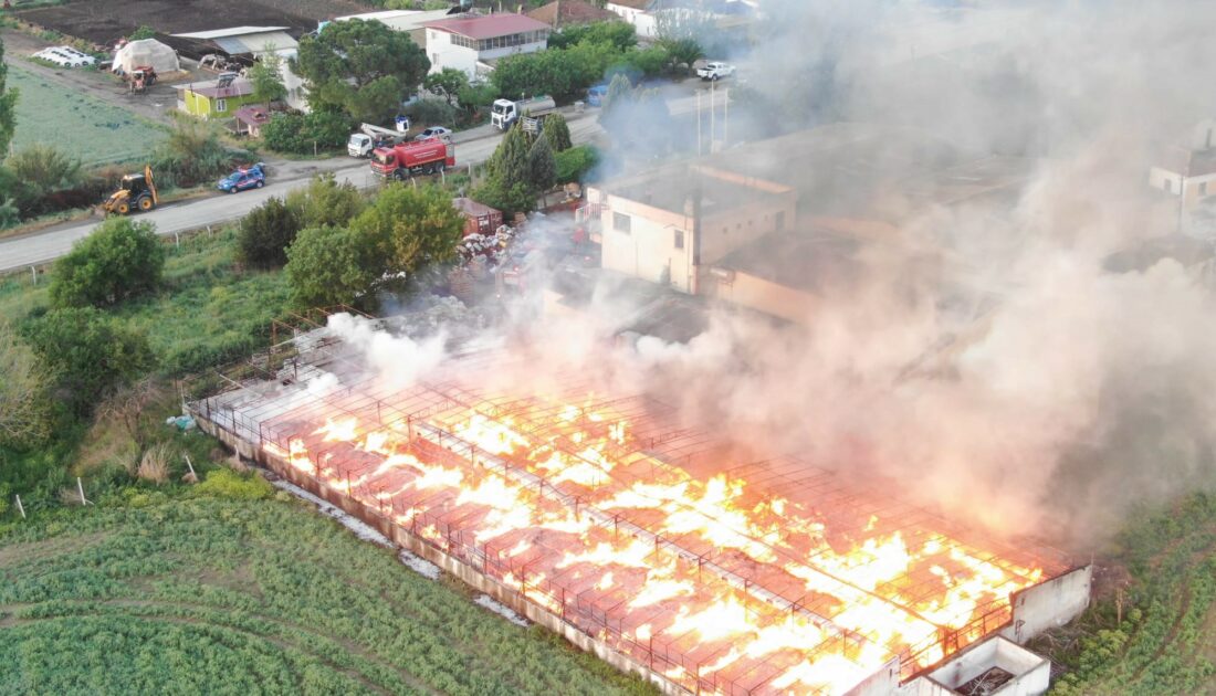 Manisa’da 160 ton kozalak kül oldu