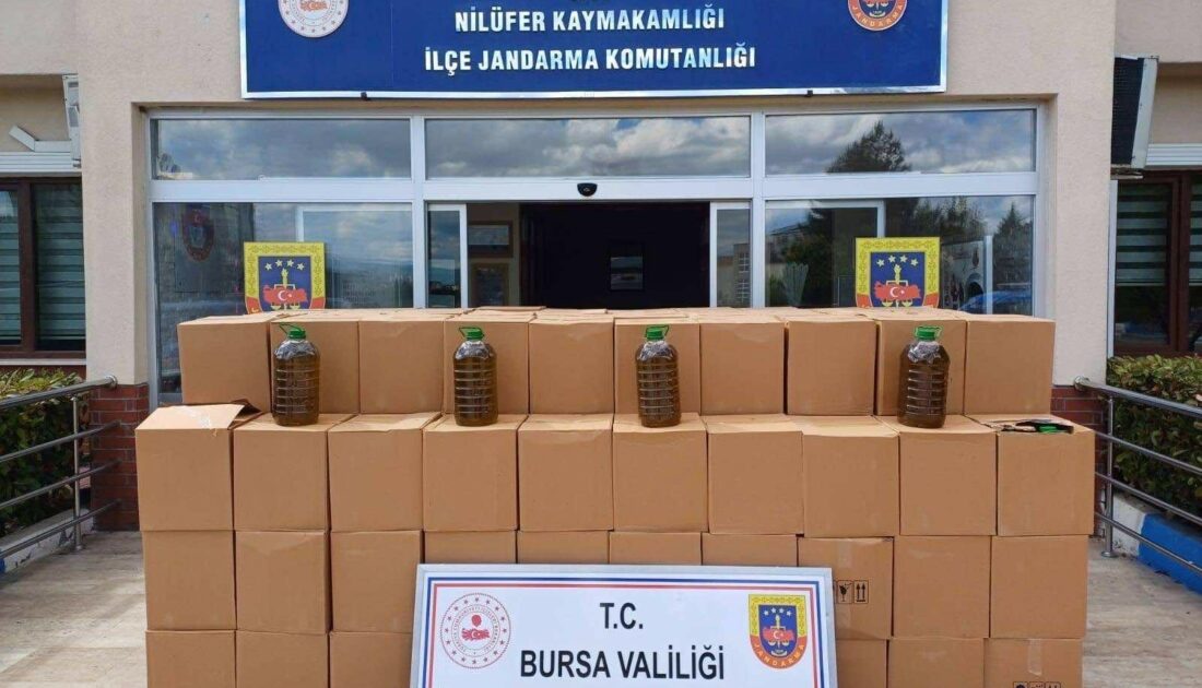 Bura’da sahte zeytinyağı kaçakçılarına jandarma ‘dur’ dedi