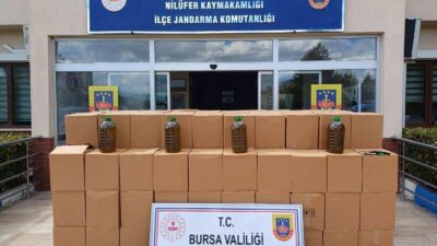 Bura’da sahte zeytinyağı kaçakçılarına jandarma ‘dur’ dedi