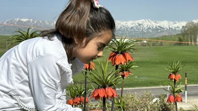 Ters laleler kendine hayran bıraktı