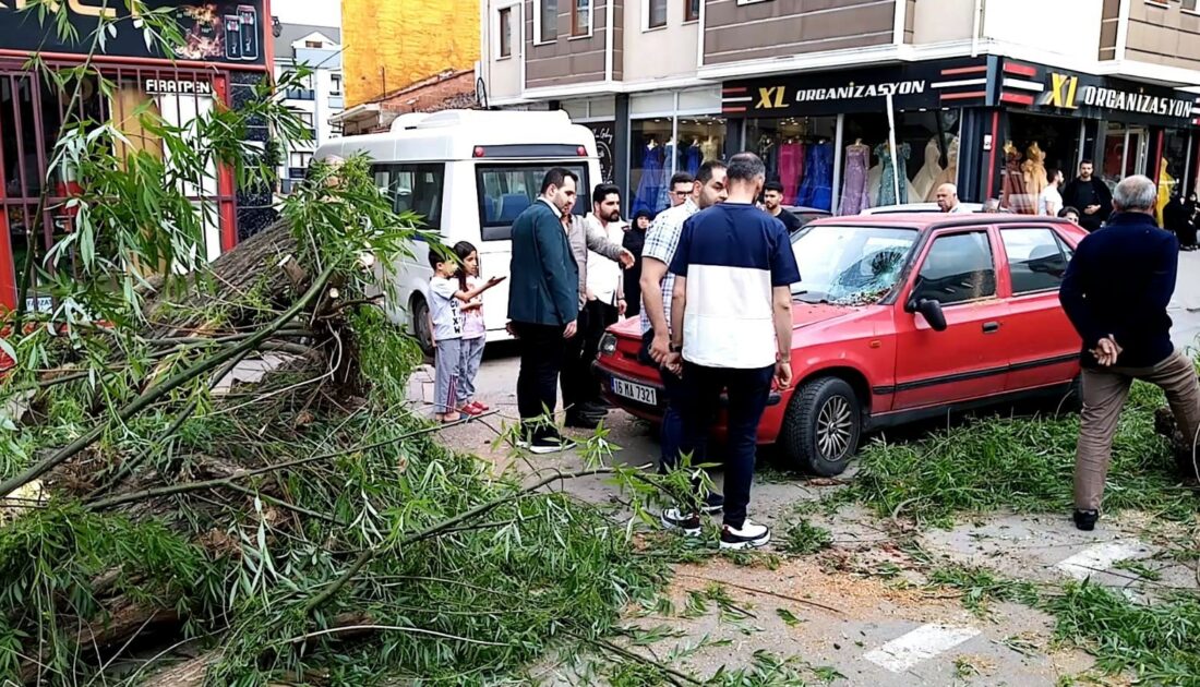 Bursa’da seyir halindeki otomobilin üzerine ağaç devrildi