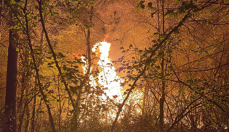 Düzce’de orman yangını: 3 dönüm arazi yandı