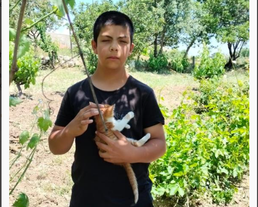 Bursa’da kayıp alarmı! Alperen her yerde aranıyor Bursa’da kayıp alarmı! Alperen her yerde aranıyor