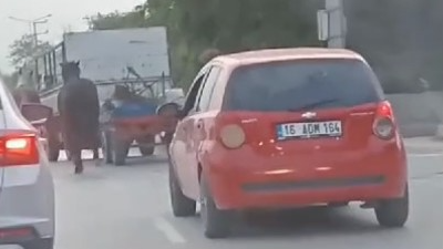 Bursa’da atlara eziyet! Kamyonetin arkasına bağladı