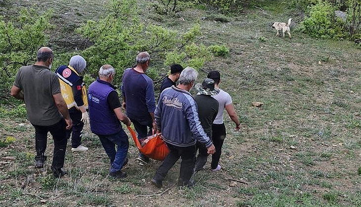 Ayının saldırısına uğrayan adam yaralandı