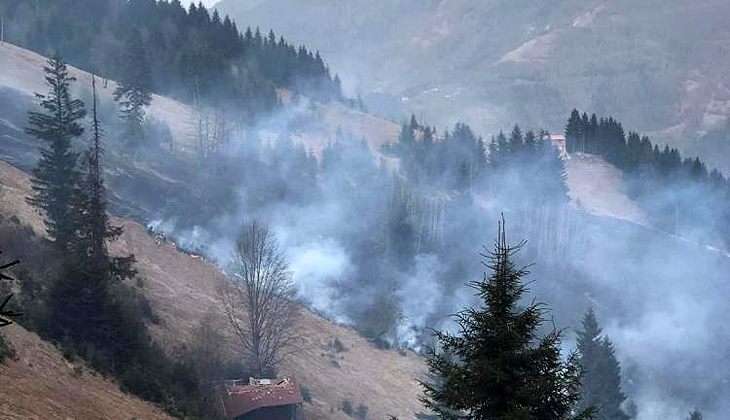 Trabzon’da orman yangını