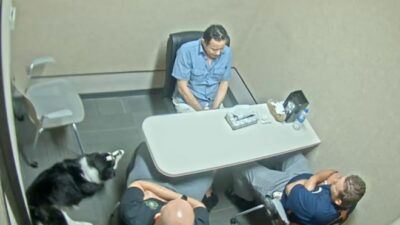 ABD’de 17 saatlik sorgu sağ babasını öldürttü!