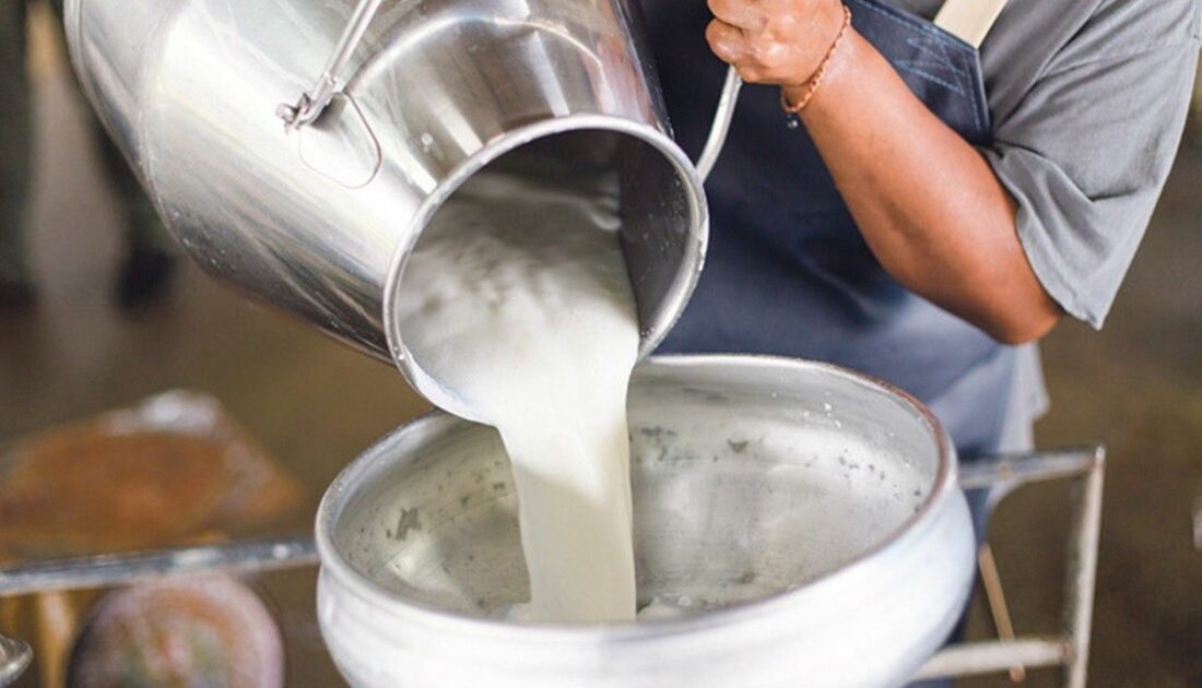 Çiğ süt üretimi 2023 yılında yüzde 0,4 azaldı