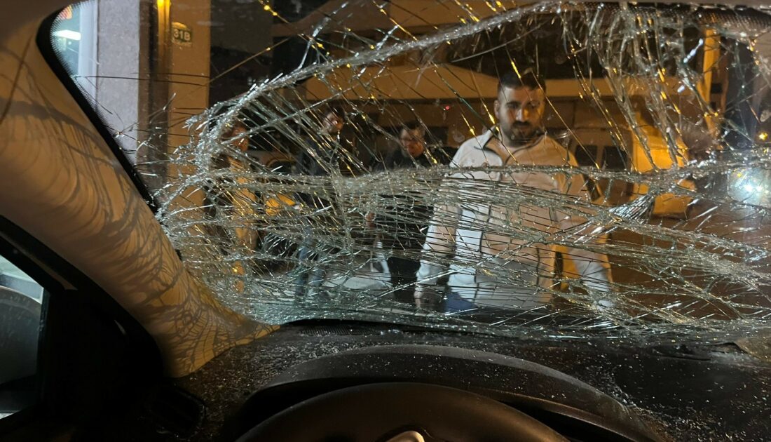 Bursa’da seyir halindeki otomobile at çarptı