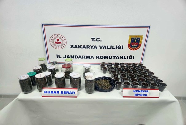 Uyuşturucu ve kaçakçılık operasyonları: 195 şüpheli yakalandı, 4’ü tutuklandı