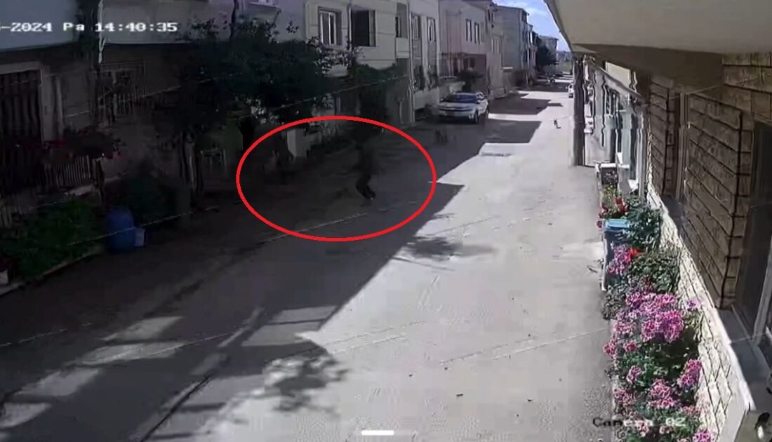 Bursa’da sokak köpekleri 3 çocuğa saldırdı, olay anı kameraya yansıdı