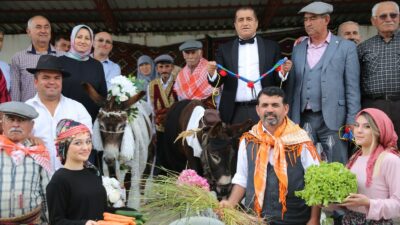 Nesli tükenmesin diye eşeklere sembolik düğün