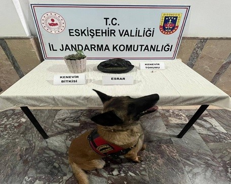 Eskişehir’de jandarma ekiplerinden 4 ayrı uyuşturucu operasyonu