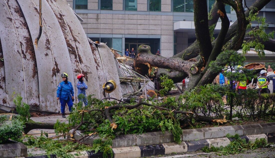 Malezya’da ağaç devrildi: 1 kişi öldü, 17 araçta hasar oluştu