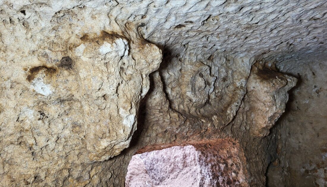 Tharsa antik kentinde iki boğa başlı mezar