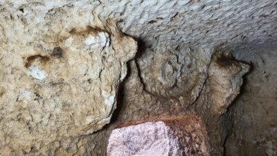 Tharsa antik kentinde iki boğa başlı mezar