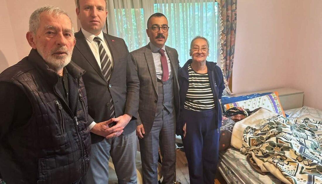 Bursa’da asırlık çınar hayatını kaybetti