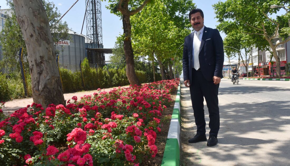 Yenişehir’in vitrininde bahar havası