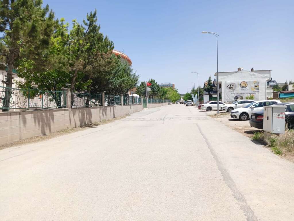 Otomobilin altında kalan köpek öldü