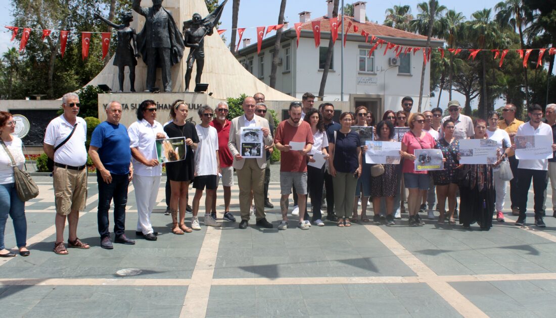 Hayvanseverlerden sokak hayvanları düzenlemesine tepki