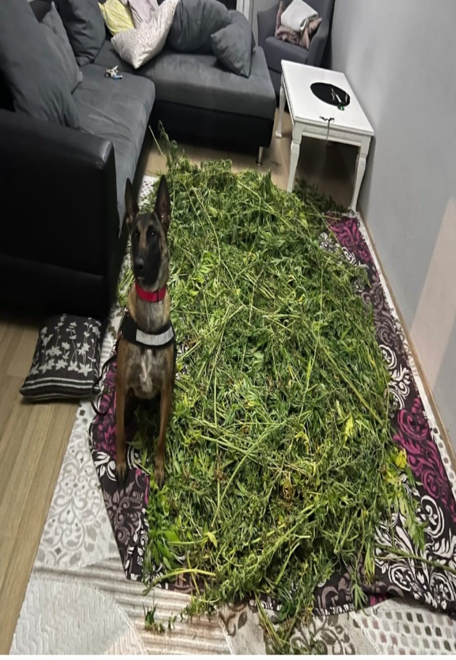Kilolarca uyuşturucu madde ele geçirildi