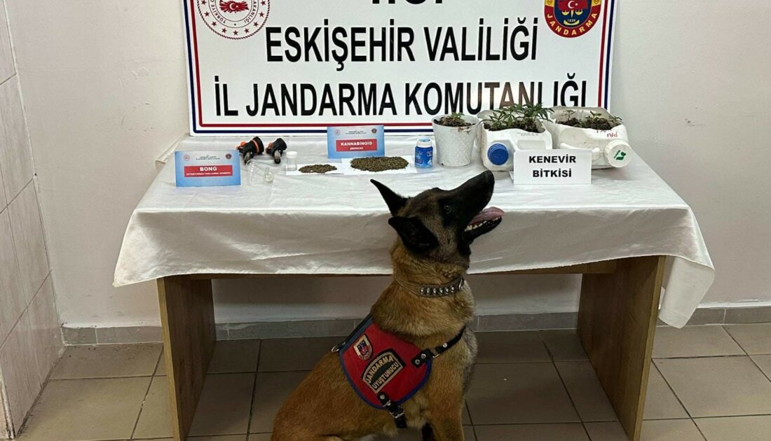 Uyuşturucu satan şahıslar jandarma tarafından yakalandı