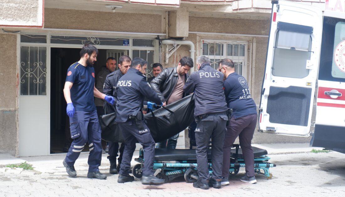 Kadın cinayeti