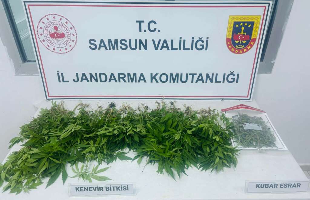 Kenevir operasyonu: 1 gözaltı
