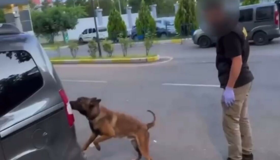 Takibe alınan araçlarda kilolarca esrar ele geçirildi