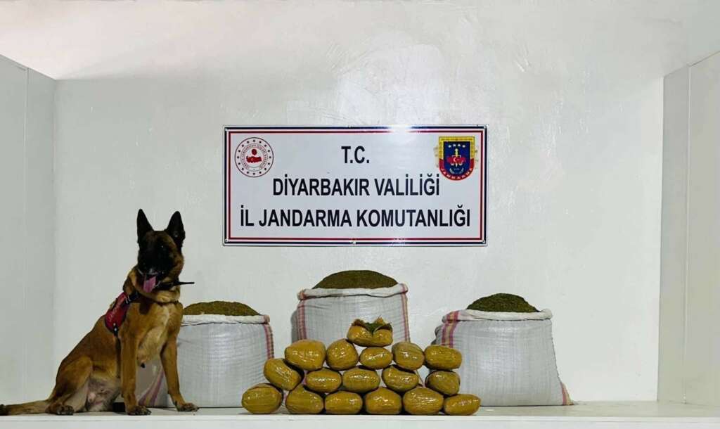 Kilolarca toz esrar ele geçirildi