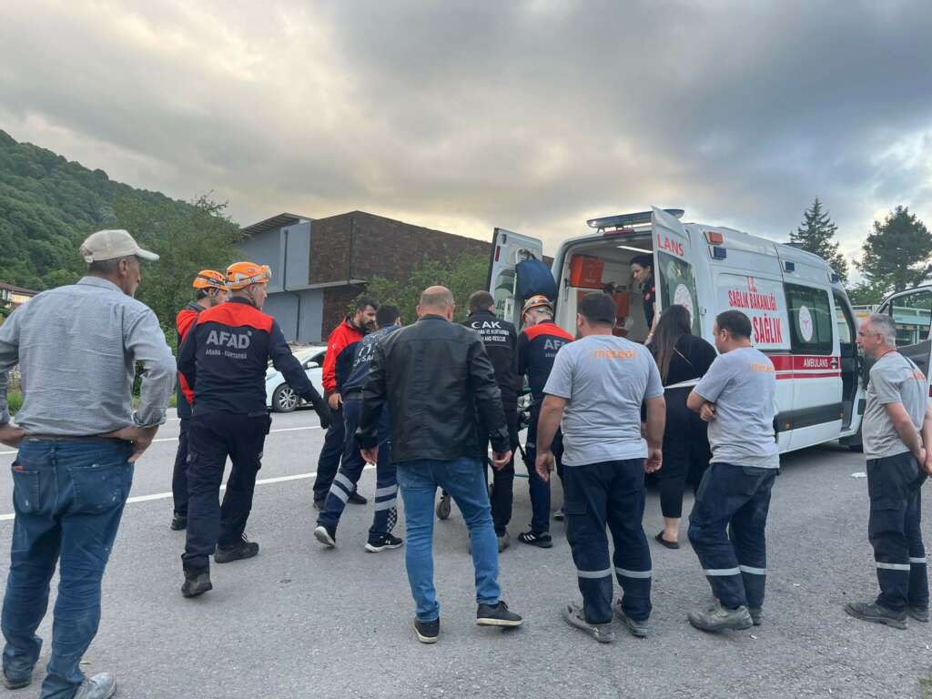 Otomobil kontrolden çıkarak bahçelik alana devrildi