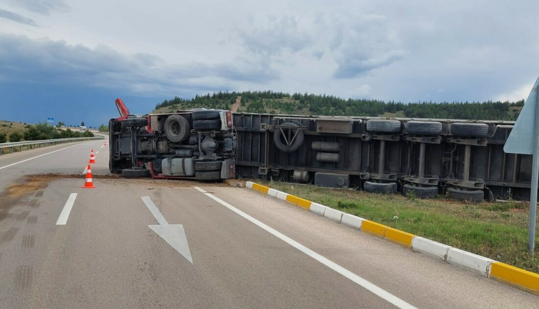 Kontrolden çıkan hayvan yemi yüklü TIR devrildi